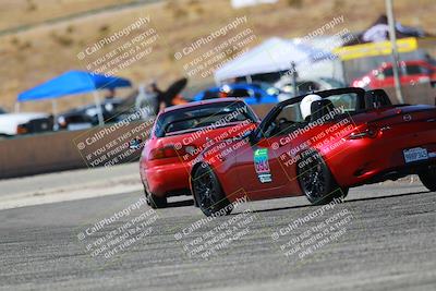 media/Mar-08-2025-Extreme Speed (Sat) [[4abb97269e]]/Blue/Turns 13  and  14 (Session 1)/